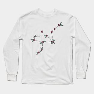 Grus (Crane) Constellation Roses and Hearts Doodle Long Sleeve T-Shirt